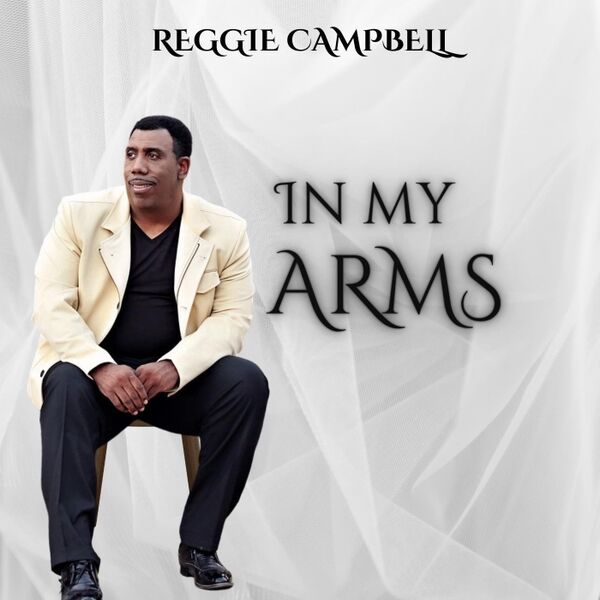 Cover art for In My Arms